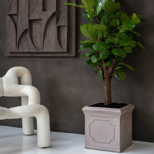 Block Classic Taupe