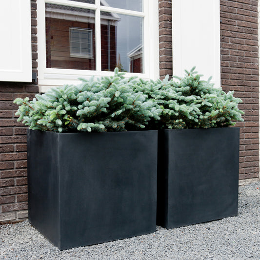 Block Black