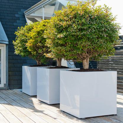 Block Glossy White