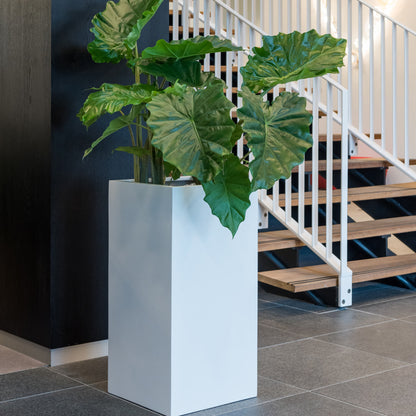 Bouvy Matte White