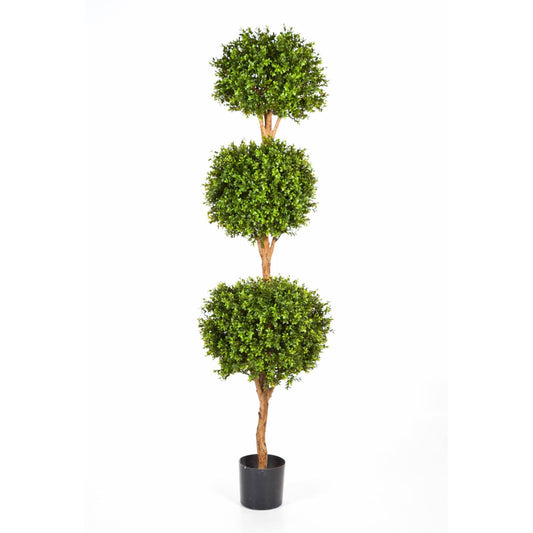 Buxus umělý