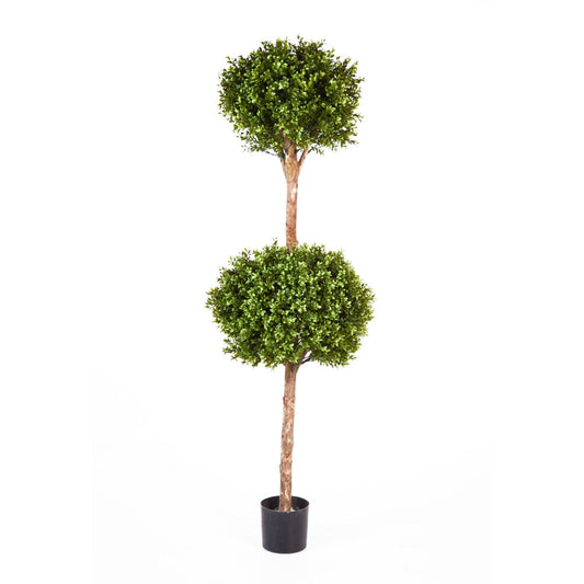 Buxus umělý