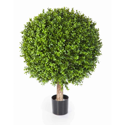 Buxus umělý