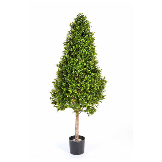 Buxus umělý
