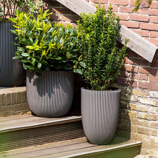 Capi Nature Groove NL Planter Ball Anthracite