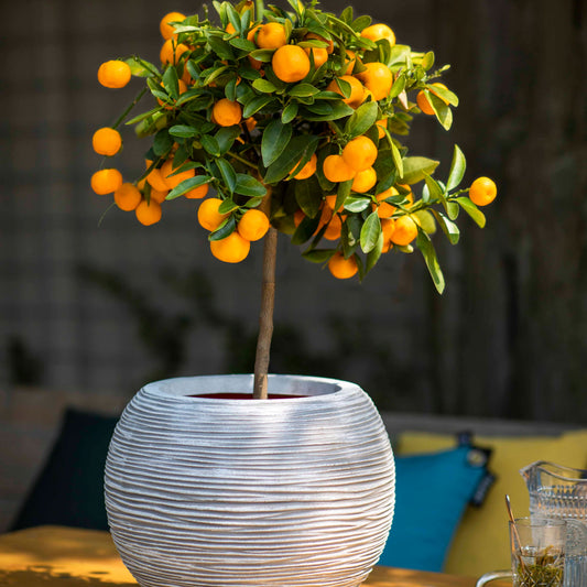 Capi Nature Rib NL Vase Ball Ivory