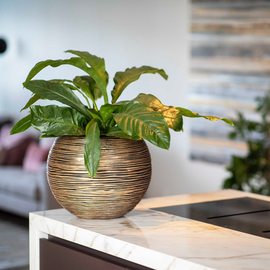 Capi Nature Rib NL Vase Ball Black Gold