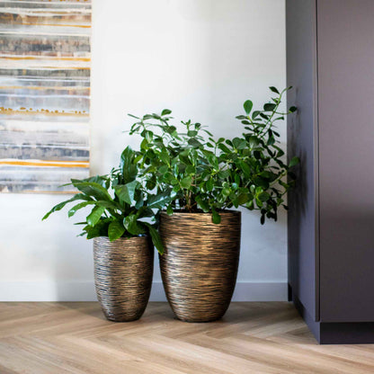 Capi Nature Rib NL Vase Elegant Deluxe Black Gold