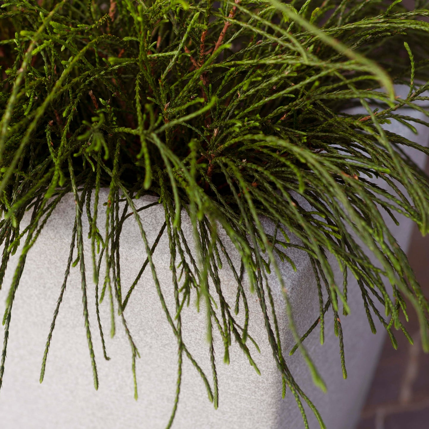 Capi Arc Granite Planter Rectangle White