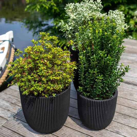 Capi Nature Groove NL Planter Ball Black