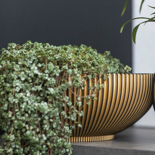 Capi Nature Groove Bowl Black Gold