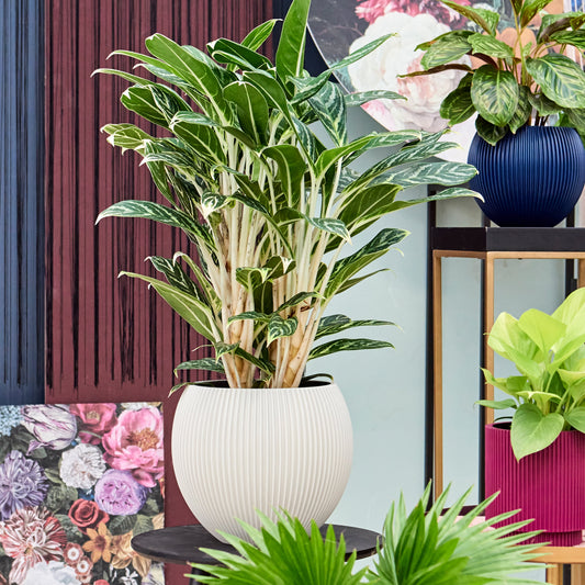 Capi Nature Groove Special Vase Ball Beige