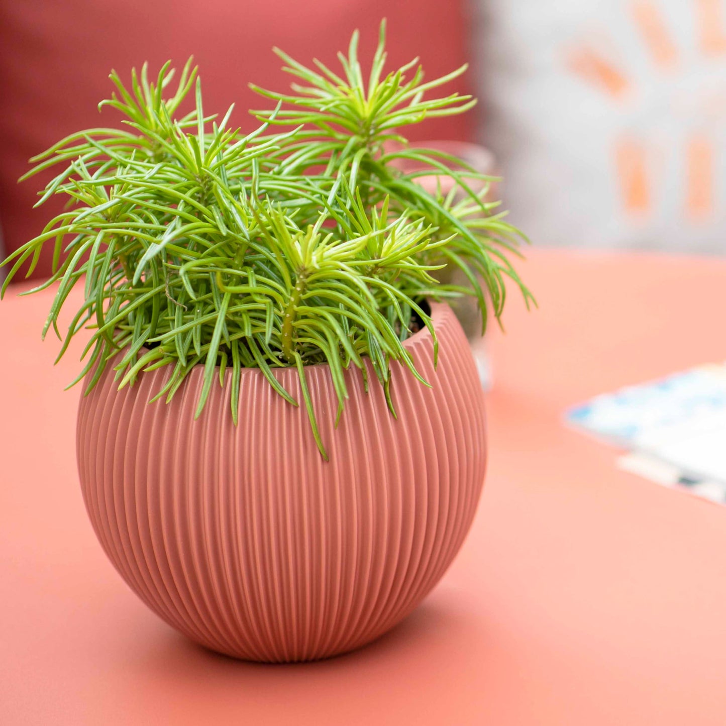 Capi Nature Groove Special Vase Ball Pink