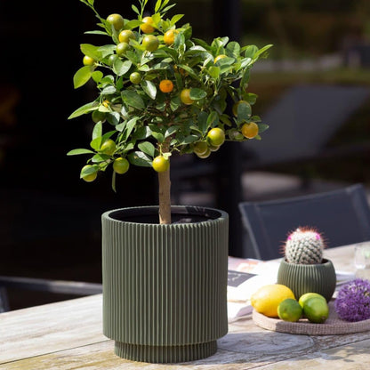 Capi Nature Groove Special Vase Cylinder Green