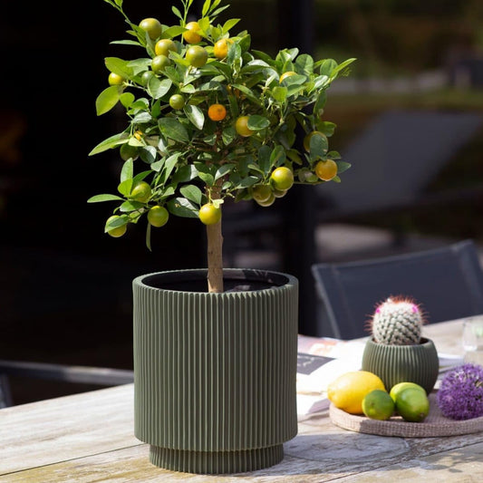 Capi Nature Groove Special Vase Cylinder Green