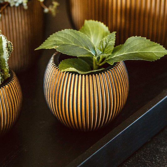Capi Nature Groove Vase Ball Black Gold