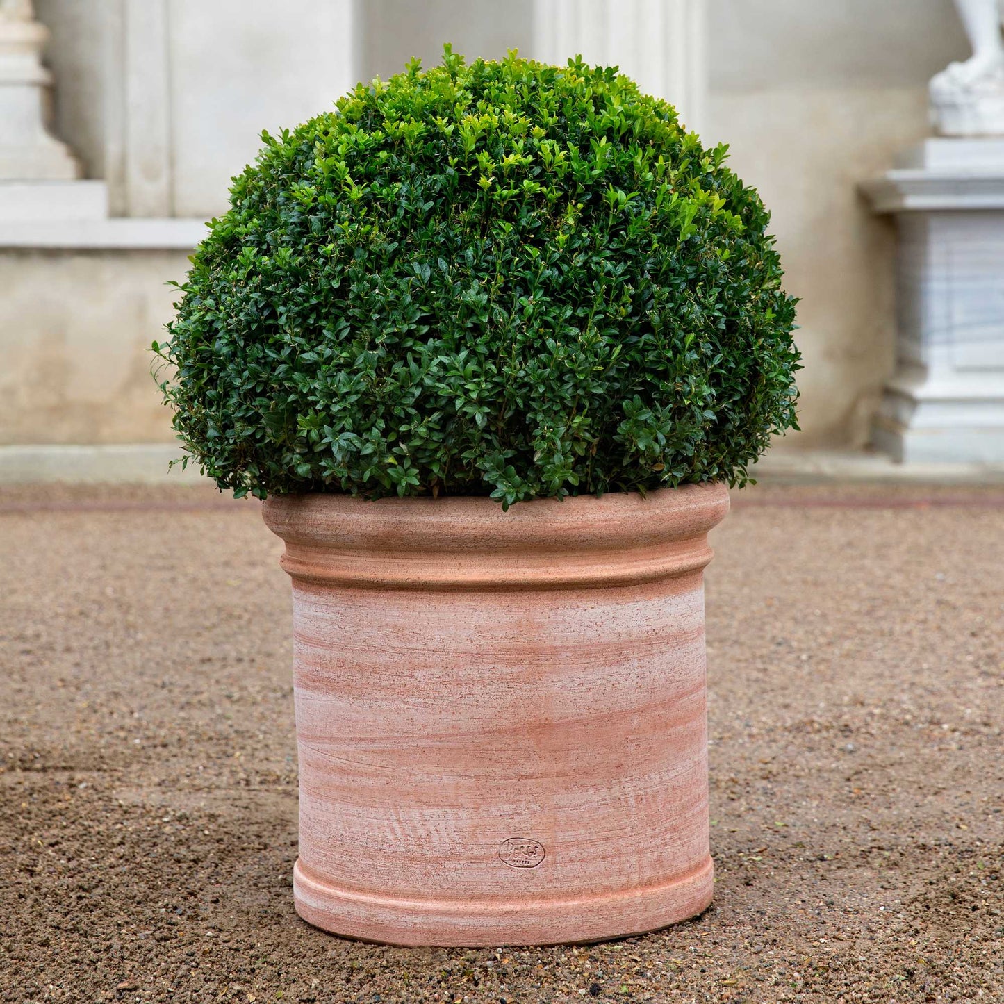Cilindro RAW Rosa