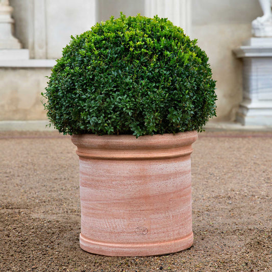 Cilindro RAW Rosa