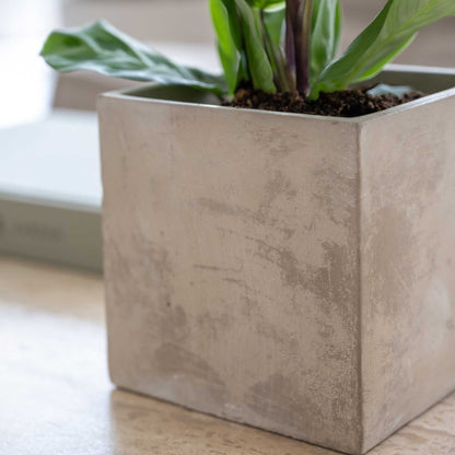 Concrete Grace