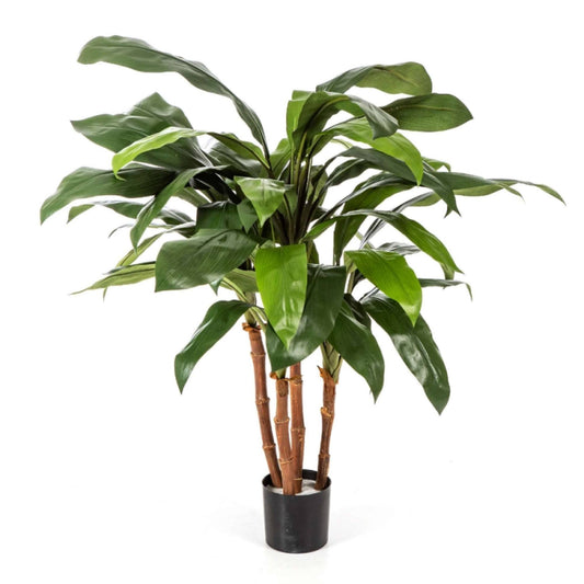 Cordyline umělá