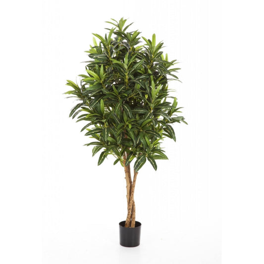 Croton Goldfinger umělý
