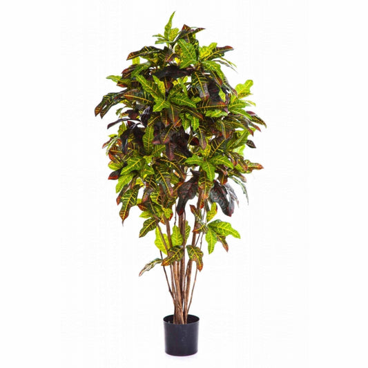 Croton umělý
