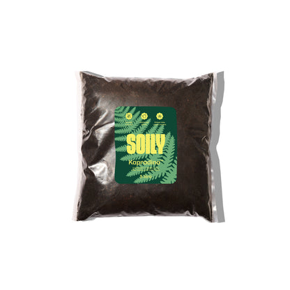 SOILY KAPRADINA™ – Substrát s rašelinou