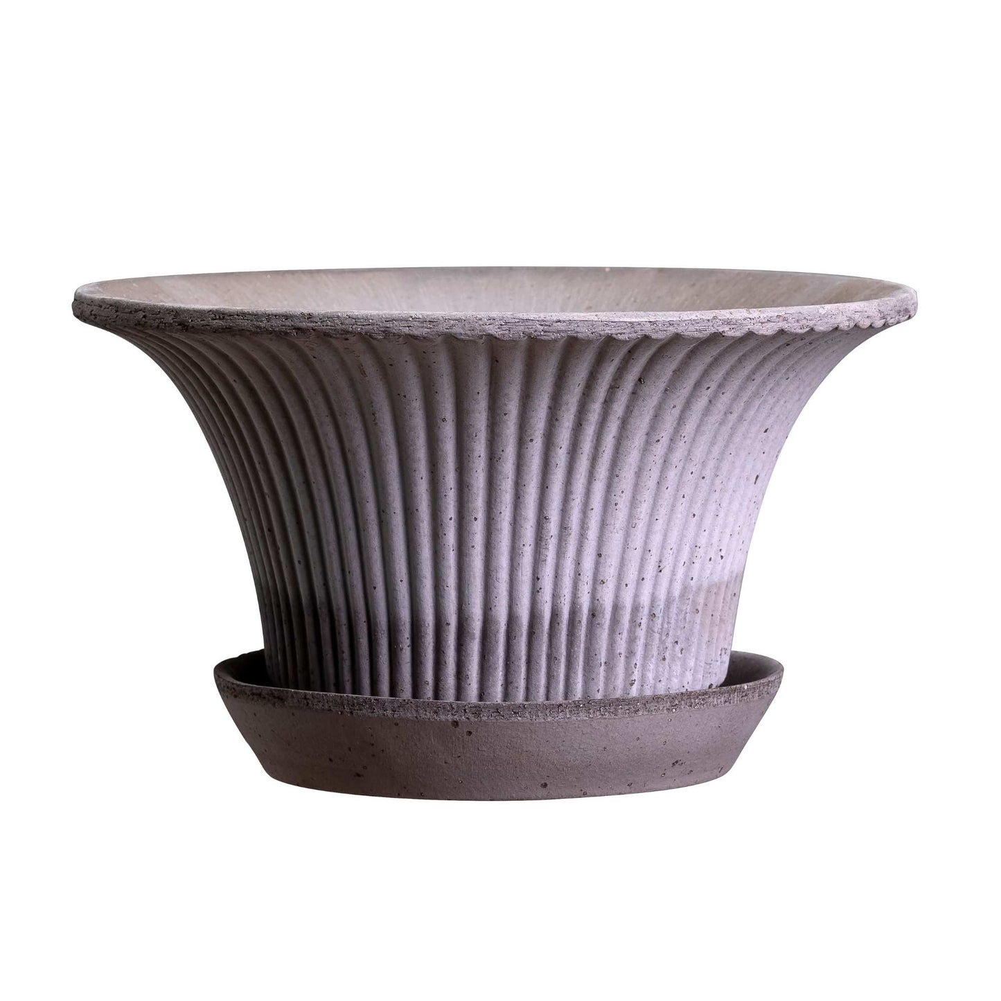Daisy RAW Grey