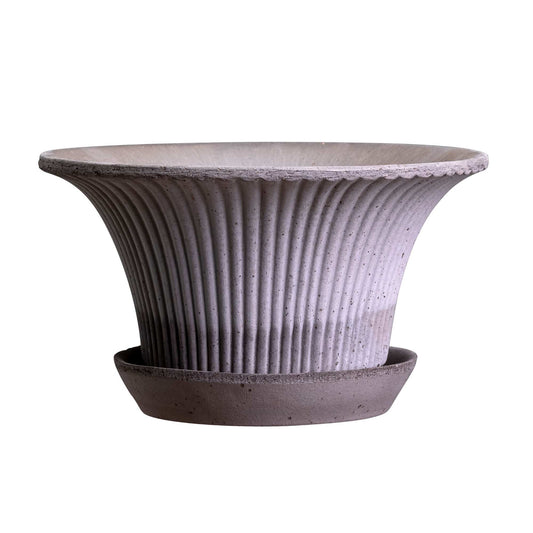 Daisy RAW Grey