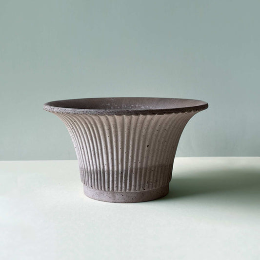 Daisy RAW Grey