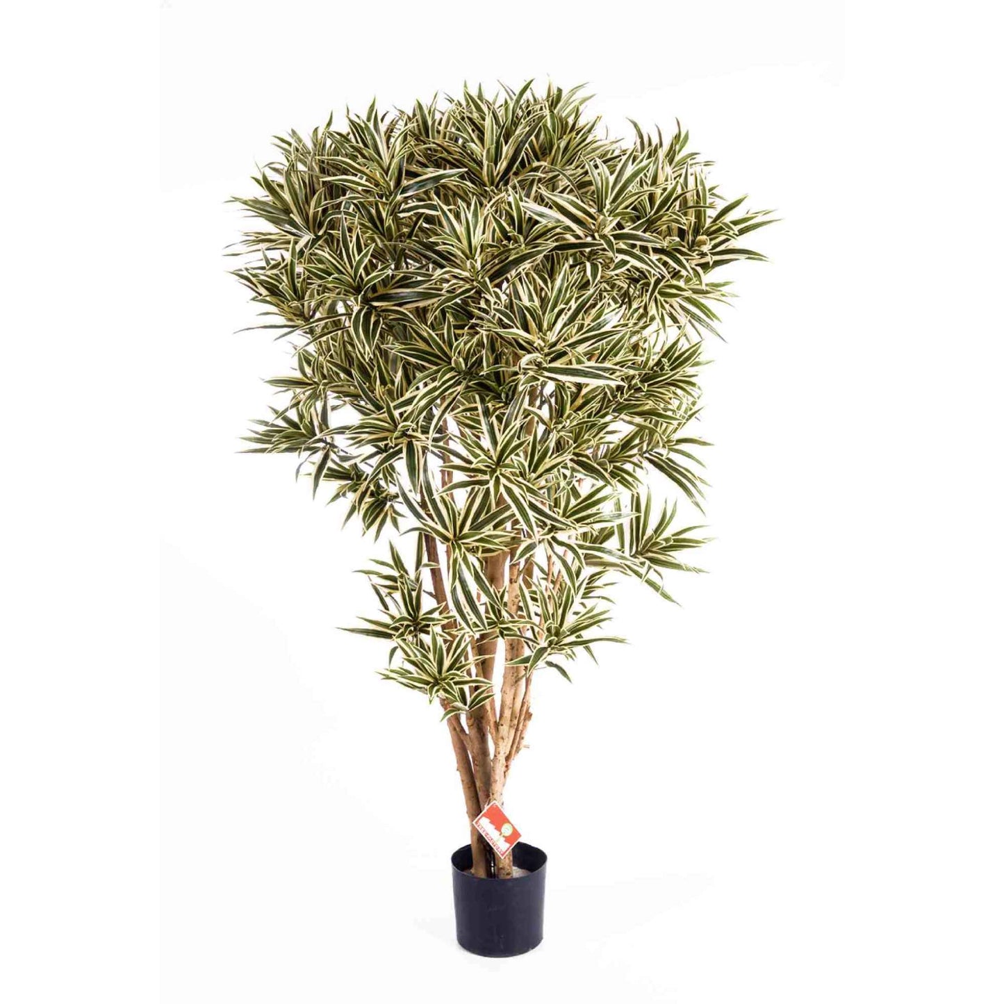 Dracaena Reflexa India umělá