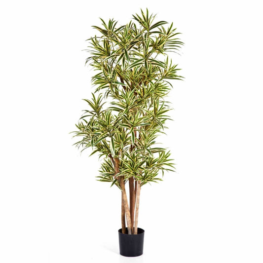 Dracaena Reflexa umělá