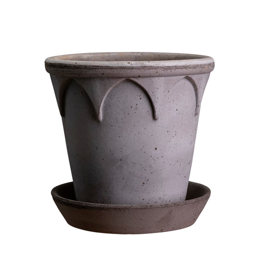 Elizabeth RAW Grey