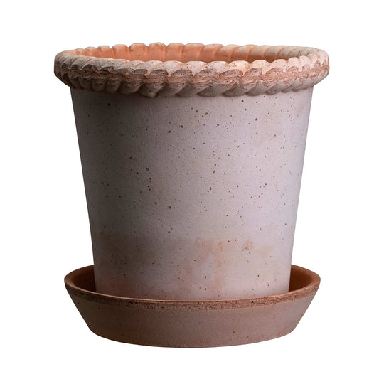 Emilia RAW Rosa