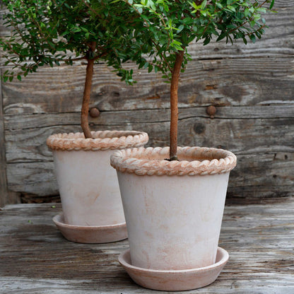 Emilia RAW Rosa