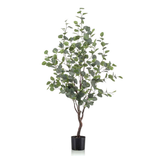Eucalypthus umělý