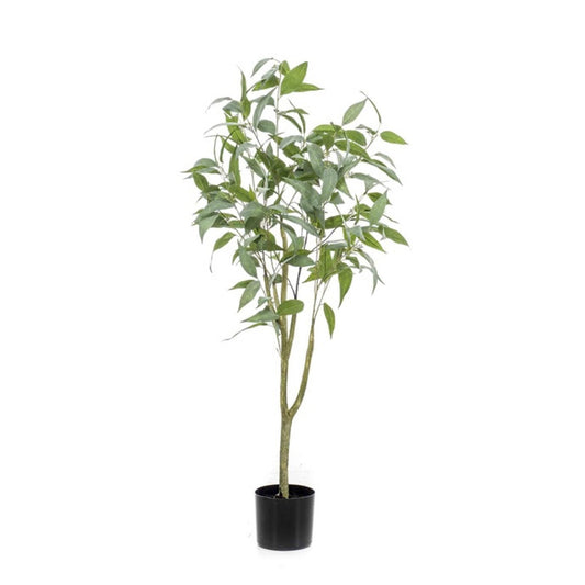 Eucalyptus Globulus umělý