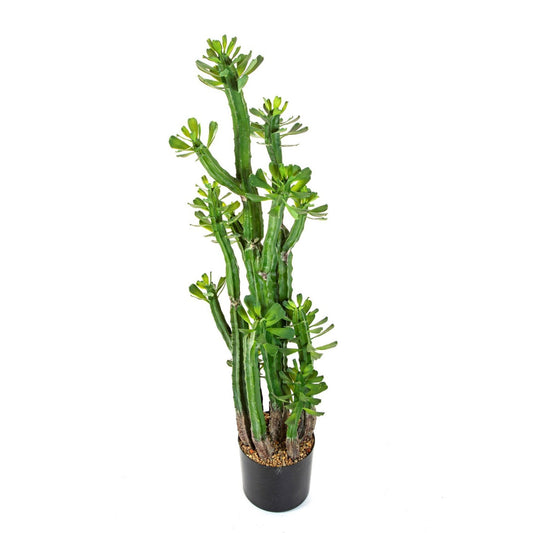 Euphorbia Roylena Kaktus umělý