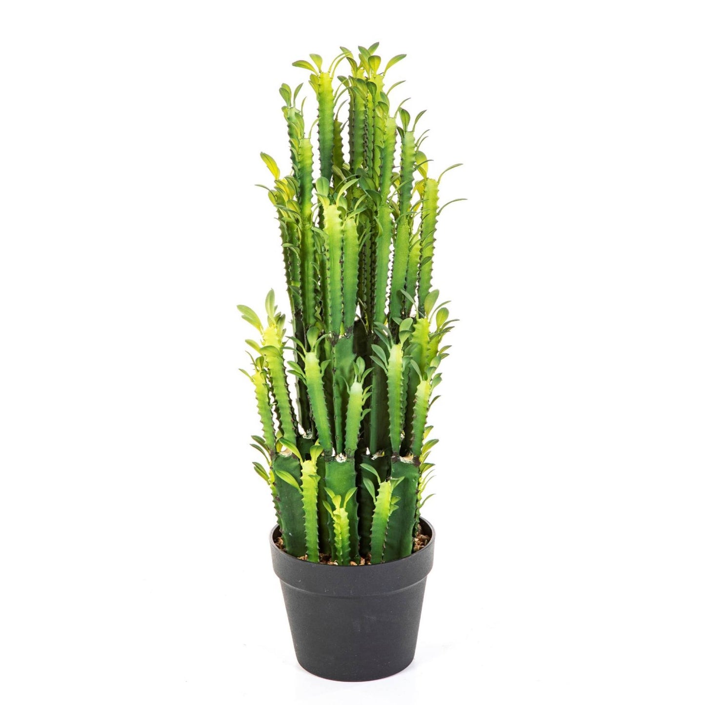 Euphorbia Trigona Kactus umělý