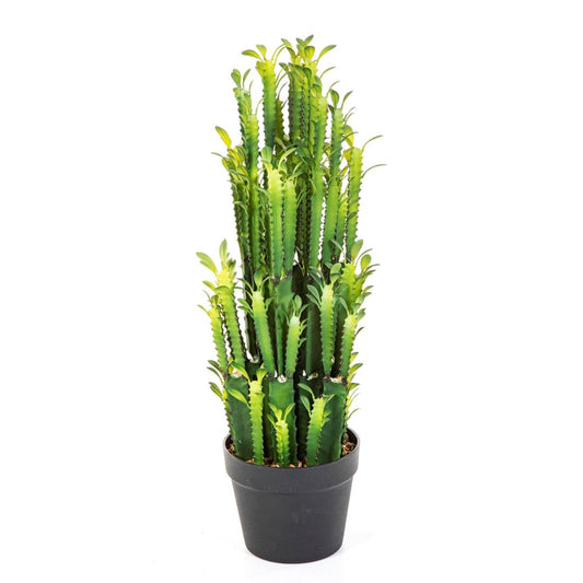 Euphorbia Trigona Kactus umělý