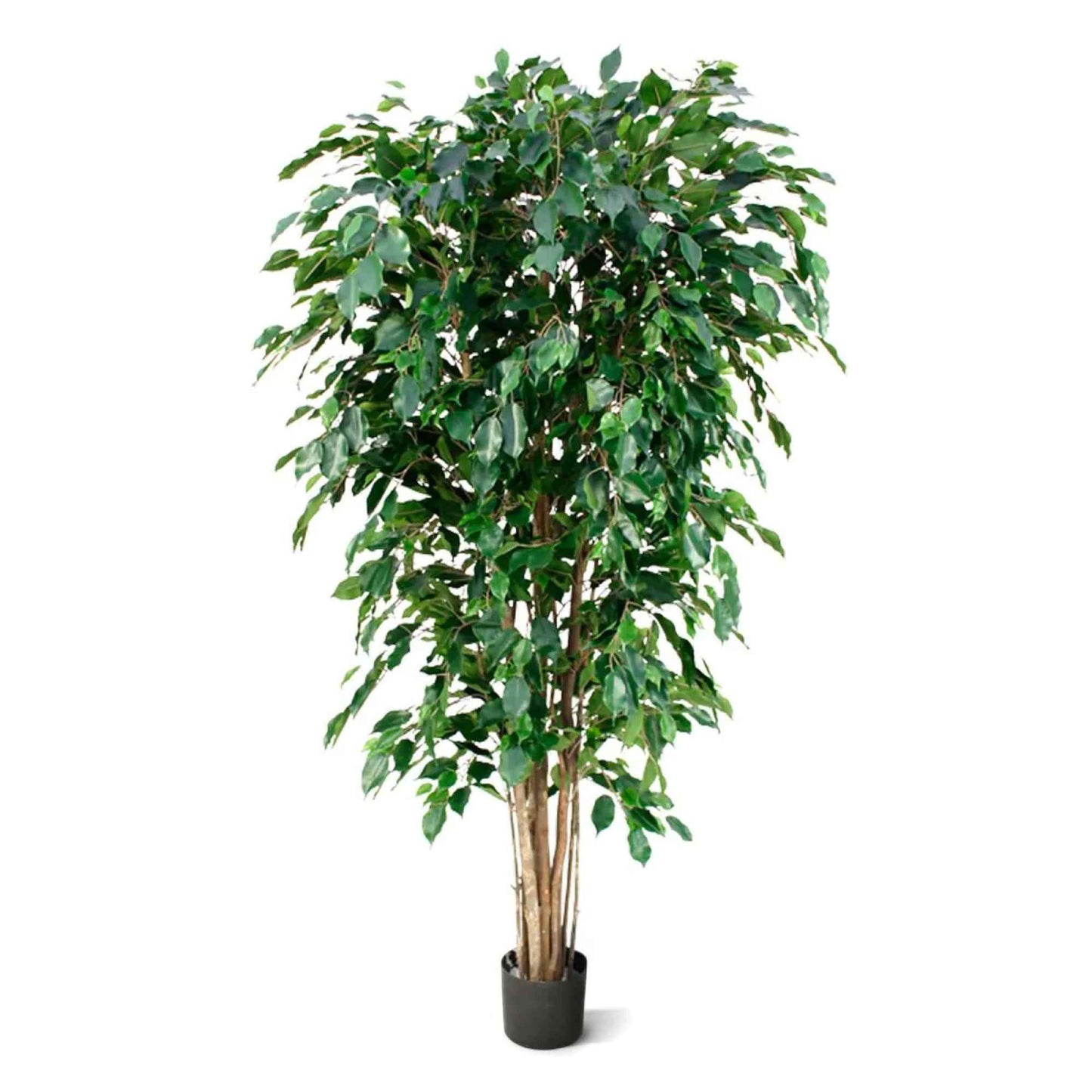 Ficus Benjamina umělý