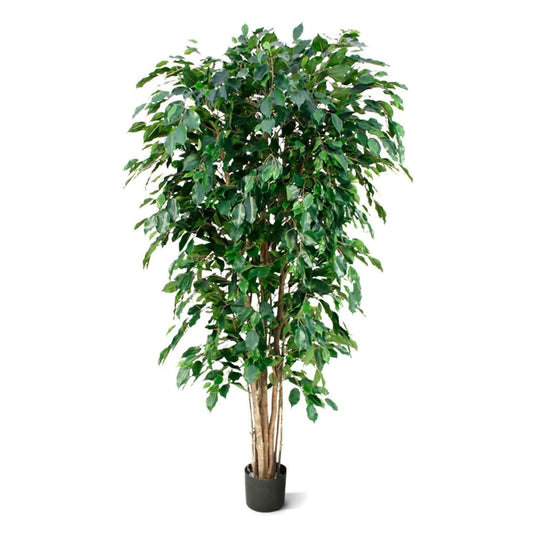 Ficus Benjamina umělý