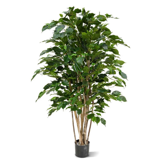 Ficus Benjamina umělý