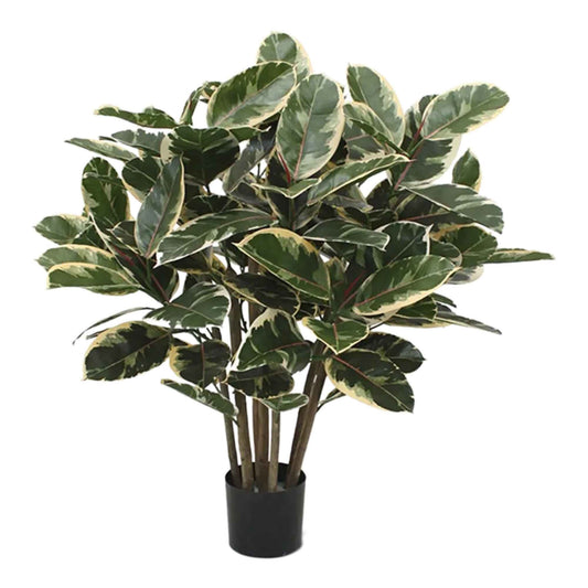 Ficus Elastica umělý
