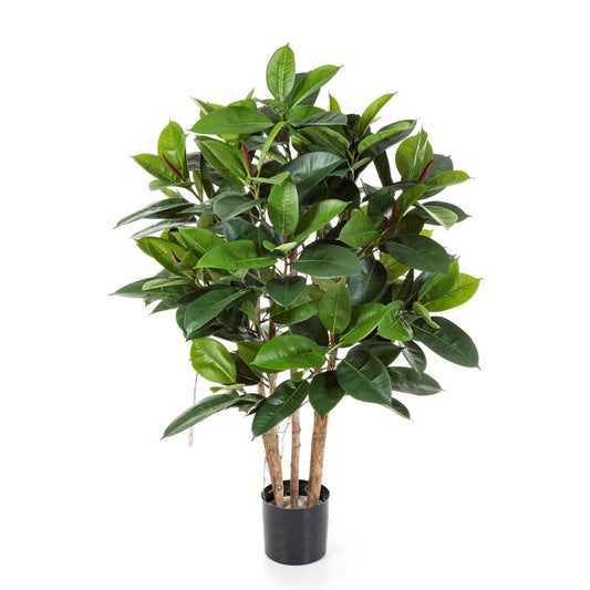 Ficus Elastica umělý