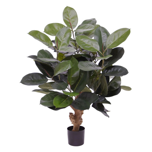 Ficus Elastica umělý