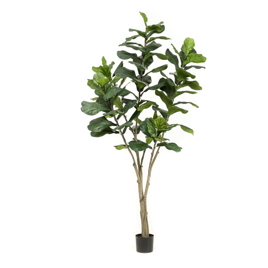Ficus Lyrata umělý