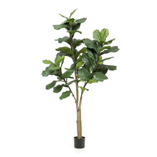 Ficus Lyrata umělý