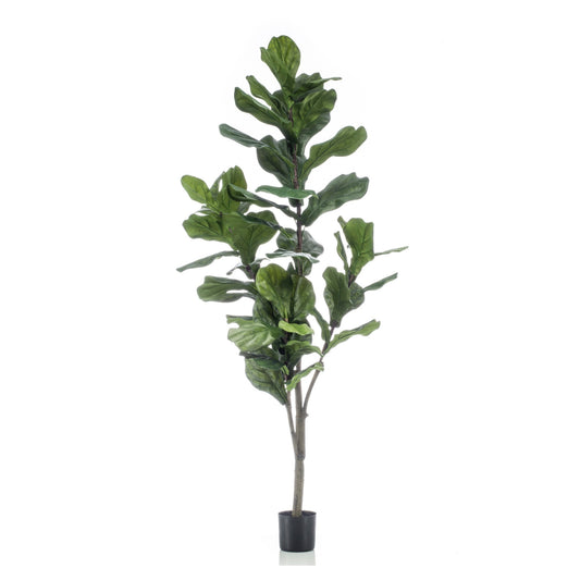 Ficus Lyrata umělý