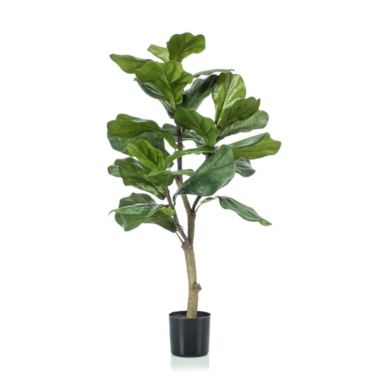 Ficus Lyrata umělý